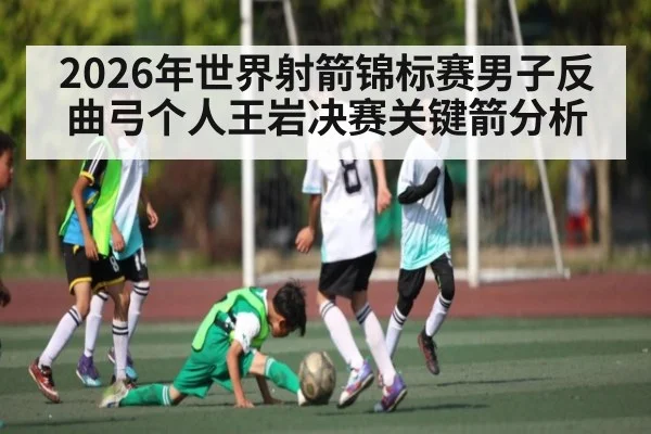2026年世界射箭锦标赛男子反曲弓个人王岩决赛关键箭分析